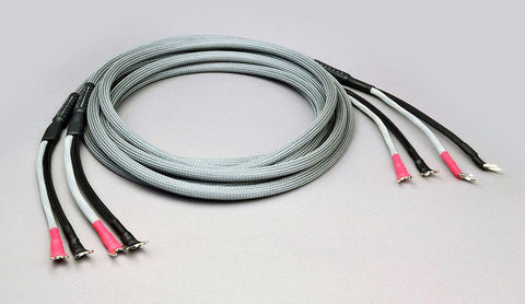 Definition Speaker Cable