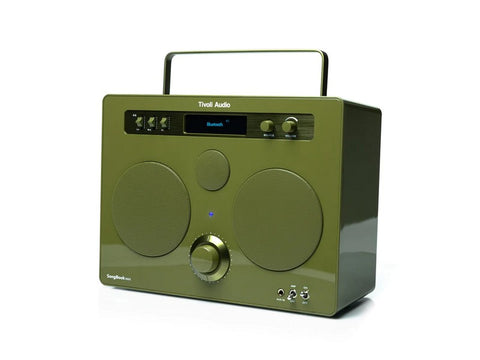 SongBook MAX Premium Bluetooth DAB+ Sound System Green